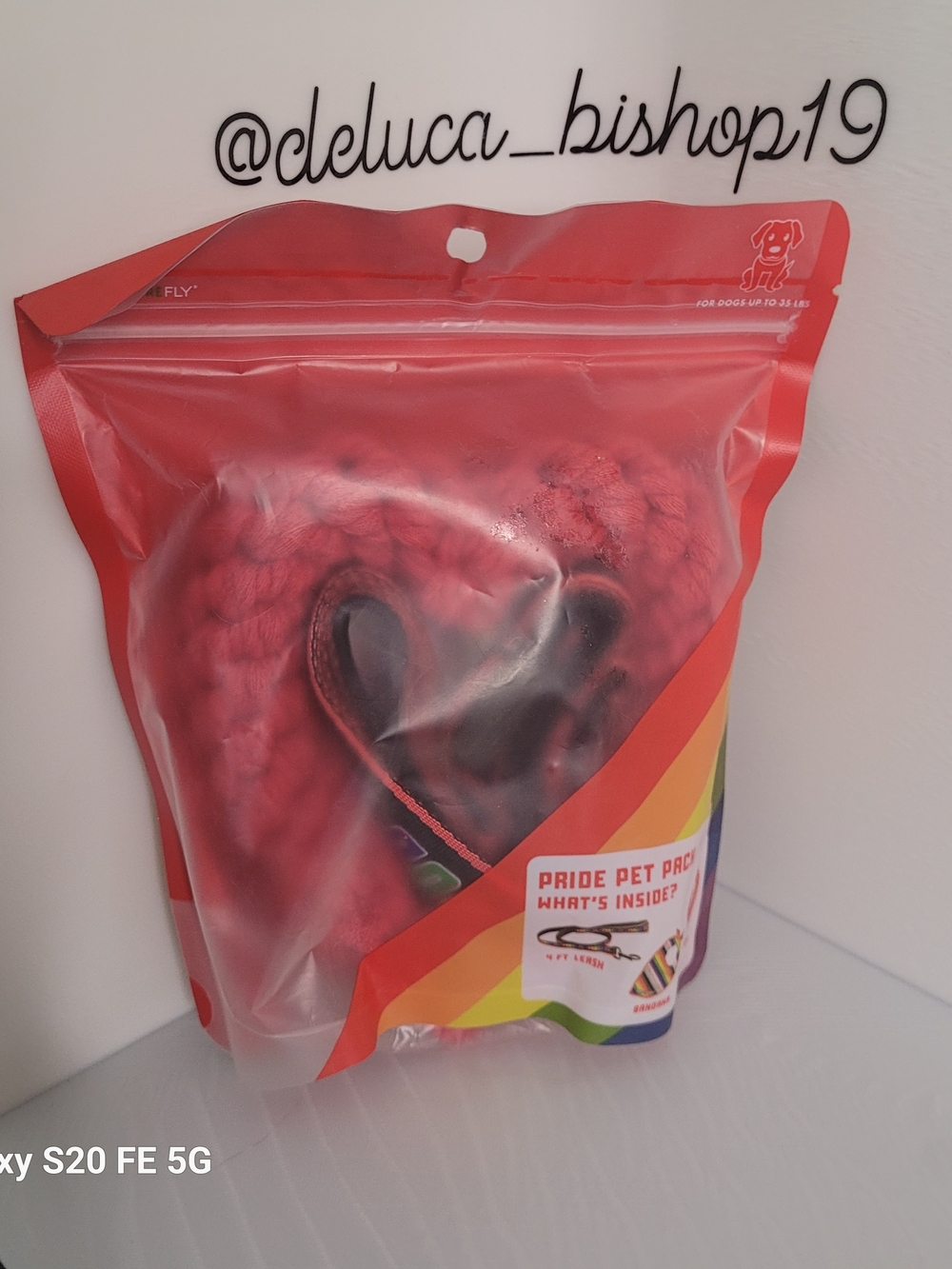 Pride Pet Pack — Packaged Dog Set